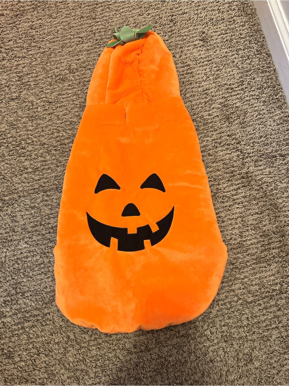 Halloween dog costume
